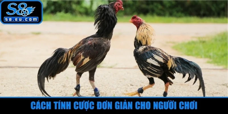 Cách tính cược đơn giản cho người chơi 
